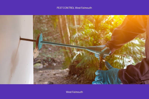PEST CONTROL West Falmouth